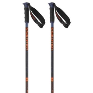 Salomon Arctic S3 Poles Azul 115 cm