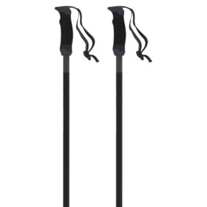 Atomic Amt Sqs Poles Negro 135 cm