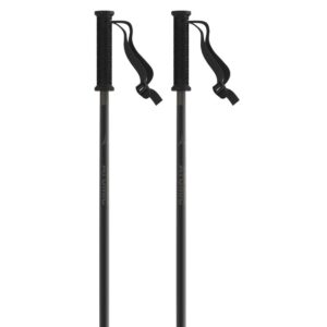 Atomic Park Poles Negro 100 cm