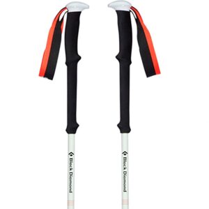 Black Diamond Expedition 2 Poles Negro 95-145 cm