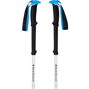 Black Diamond Expedition 2 Pro Poles Negro 105-155 cm