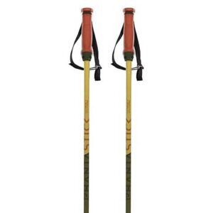 Volkl Phantastick 16 Mm Poles Verde 115 cm