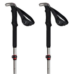 Atomic Bct Mountaineering Sqs Poles Gris,Plateado 115-135 cm