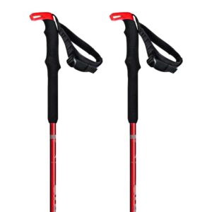 Atomic Bct Touring Carbon Sqs Poles Rojo,Gris 115-135 cm