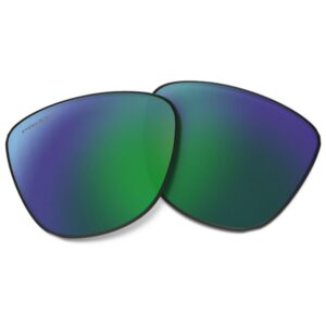 Oakley Frogskins Prizm Lens Lila CAT3