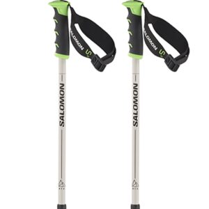 Salomon Mtn S3 Poles Aluminium Plateado 110-135 cm