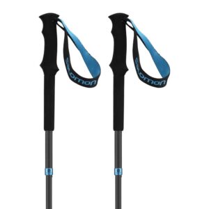Salomon Mtn Outdoor Poles Negro 125 cm