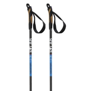 Salomon S/lab Poles Plateado 145 cm