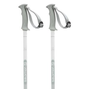 Salomon Northpole Poles Woman Gris 100 cm