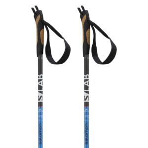 Salomon Slab Xalp Poles Negro 135 cm