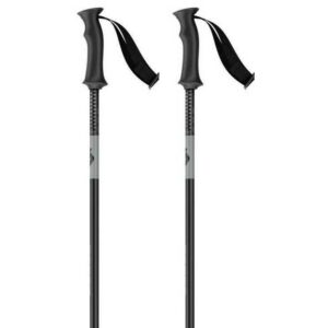 Scott Element Kids Pole Plateado 75 cm