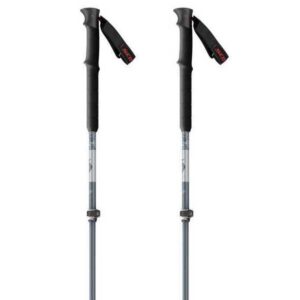 Scott Proguide C Srs Pole Plateado 105-140 cm