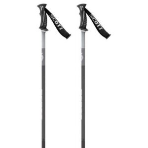 Scott Signature Pole Plateado 135 cm