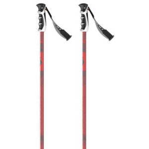Scott Slight Srs Pole Plateado 120 cm