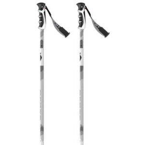 Scott Slight Srs Pole Plateado 120 cm