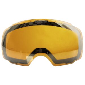Quiksilver Greenwood Lens Dorado CAT3