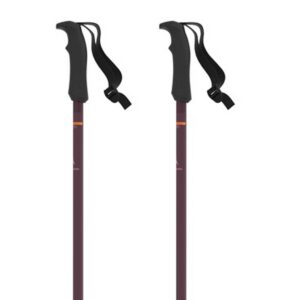 Atomic Cloud Q Pole Plateado 105 cm