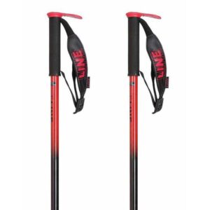 Line Pin Poles Plateado 100 cm