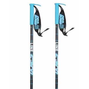 Line Wallischstick Poles Plateado 105 cm