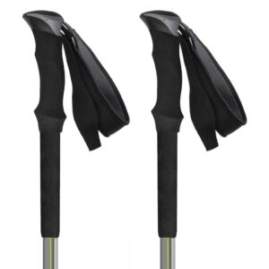 Asolo Skitour Pro Poles Negro,Plateado 105-140 cm