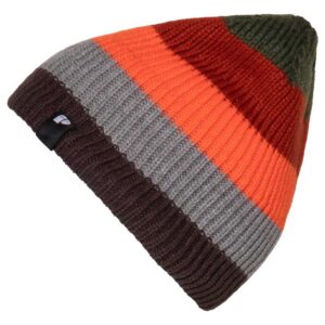 Protest Lake 19 Beanie Multicolor 59 cm Hombre