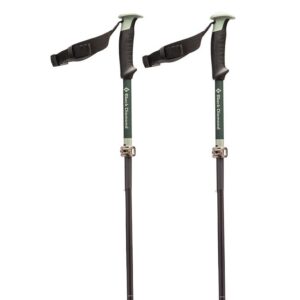 Black Diamond Compactor Poles Gris 115-135 cm
