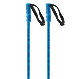 Salomon Hacker Poles Azul 105 cm