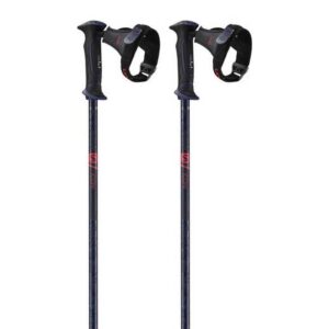 Salomon Icon Ergo S3 Poles Negro 115 cm