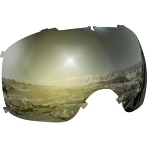Salomon Xt One Lens Dorado Sigma Black Gold/CAT3