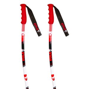 Vola Gs Alu Poles Multicolor 135 cm