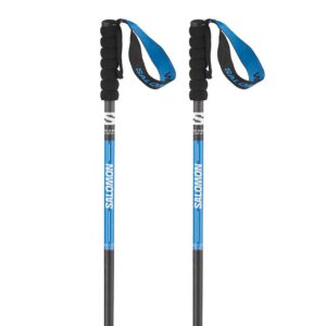 Salomon Pulsar Carbon Poles Transparente 115 cm