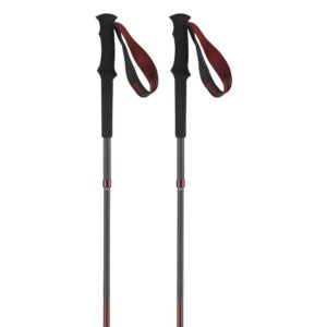 Salomon Quest Carbon Foldable Poles Plateado 135 cm