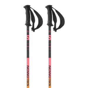 Salomon Shiva Poles Plateado 125 cm