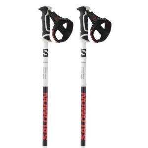 Salomon X10 Ergo S3 Poles Transparente 115 cm