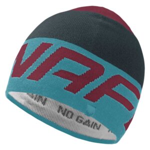 Dynafit Radical Beanie Multicolor  Hombre