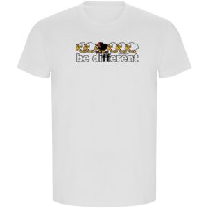Kruskis Be Different Ski Eco Short Sleeve T-shirt Blanco S Hombre