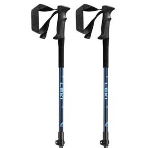 Leki Alpino Guide Lite Junior Poles Plateado 90-120 cm