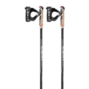 Leki Alpino Xta 5.5 Poles Plateado 145 cm