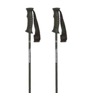 Komperdell Rental Carbon Youth Poles Plateado 80 cm