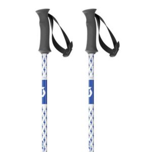 Scott Element Junior Poles Plateado 110 cm