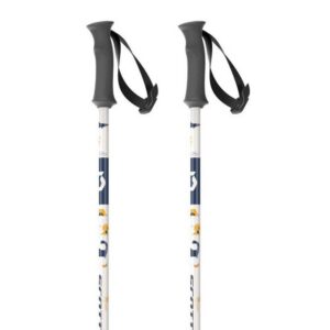 Scott Hero Junior Poles Plateado 90 cm