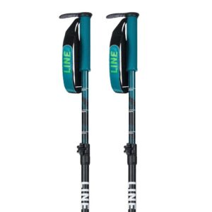 Line Paintbrush Poles Transparente 100-133 cm