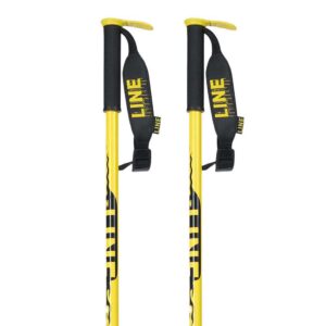 Line Pin Pole Dorado 100 cm