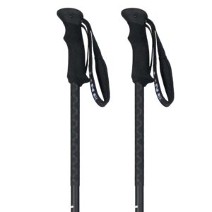 Line Vision Poles Plateado 104-145 cm