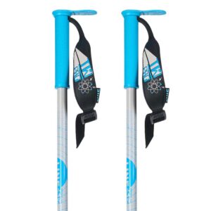 Line Wallischtick Pole Transparente 110 cm