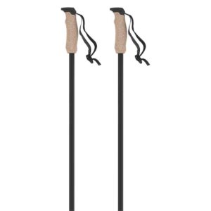 Atomic Amt Carbon Poles Plateado 125 cm