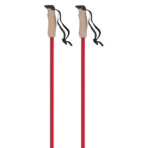 Atomic Amt Carbon Poles Plateado 135 cm