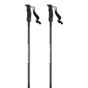 Atomic Amt Junior Poles Plateado 95 cm