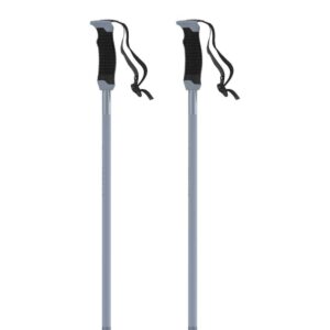 Atomic Amt Sqs Poles Plateado 125 cm