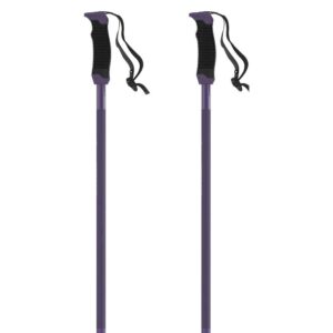 Atomic Amt Sqs W Poles Lila 105 cm